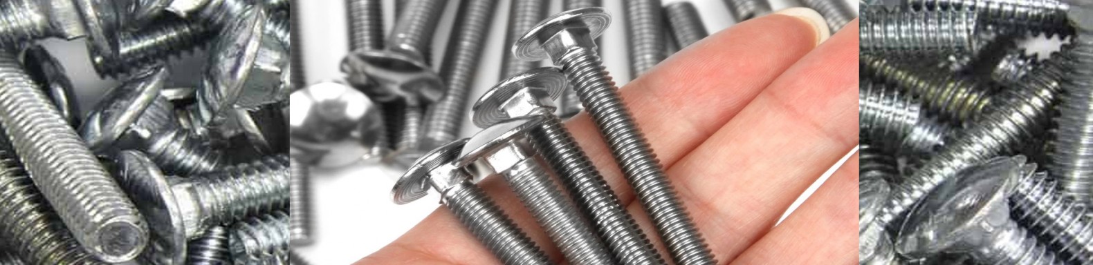 Carriage Bolts TG Store